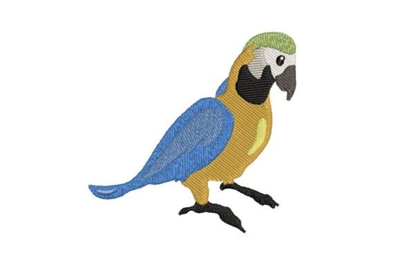 Colorful Parrot Embroidery Design Review